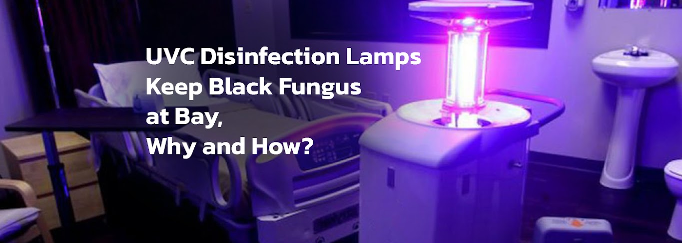 UVC Disinfection Lamps Keep Black Fungus at Bay, Why and How?