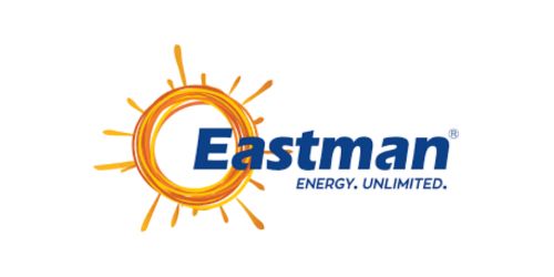 Eastman India Logo